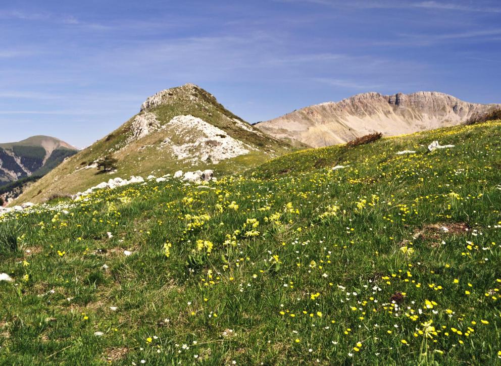 monges, montagne, col